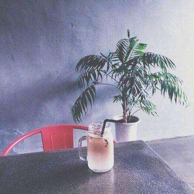 pg棋牌软件平台截图