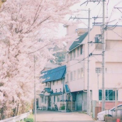 博鱼·中国体育官网