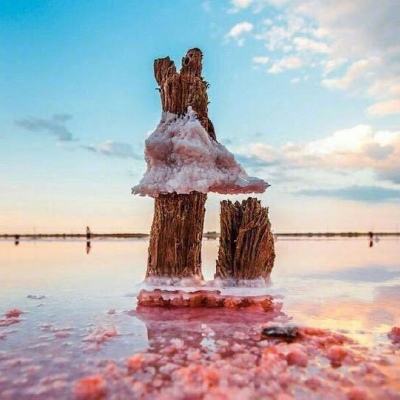 斗牛棋牌手机app下载