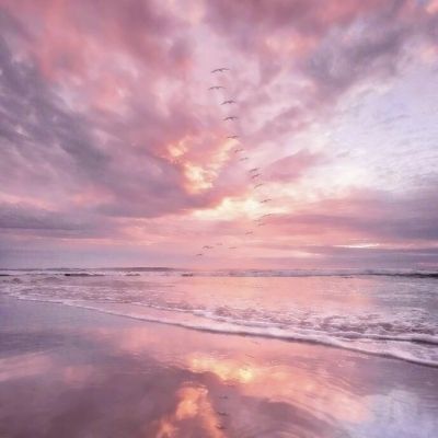 域网棋牌手机app下载