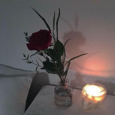 博鱼app官网下载