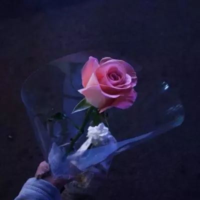 极速赛车信誉老平台